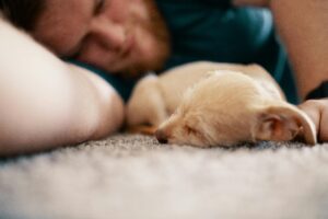 Understanding Your Puppy's Sleep Needs