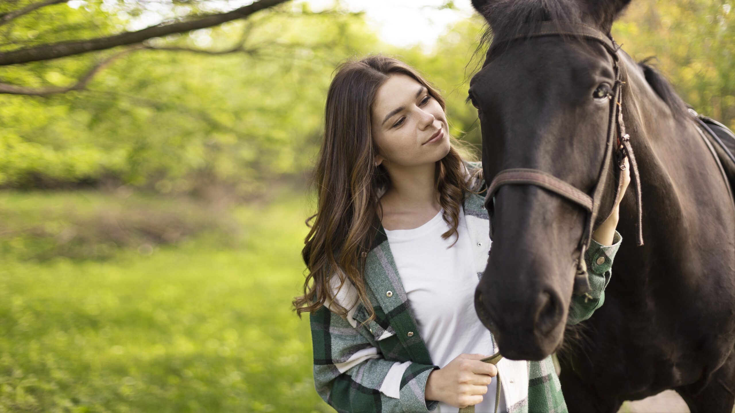 How Do Horses Sleep?