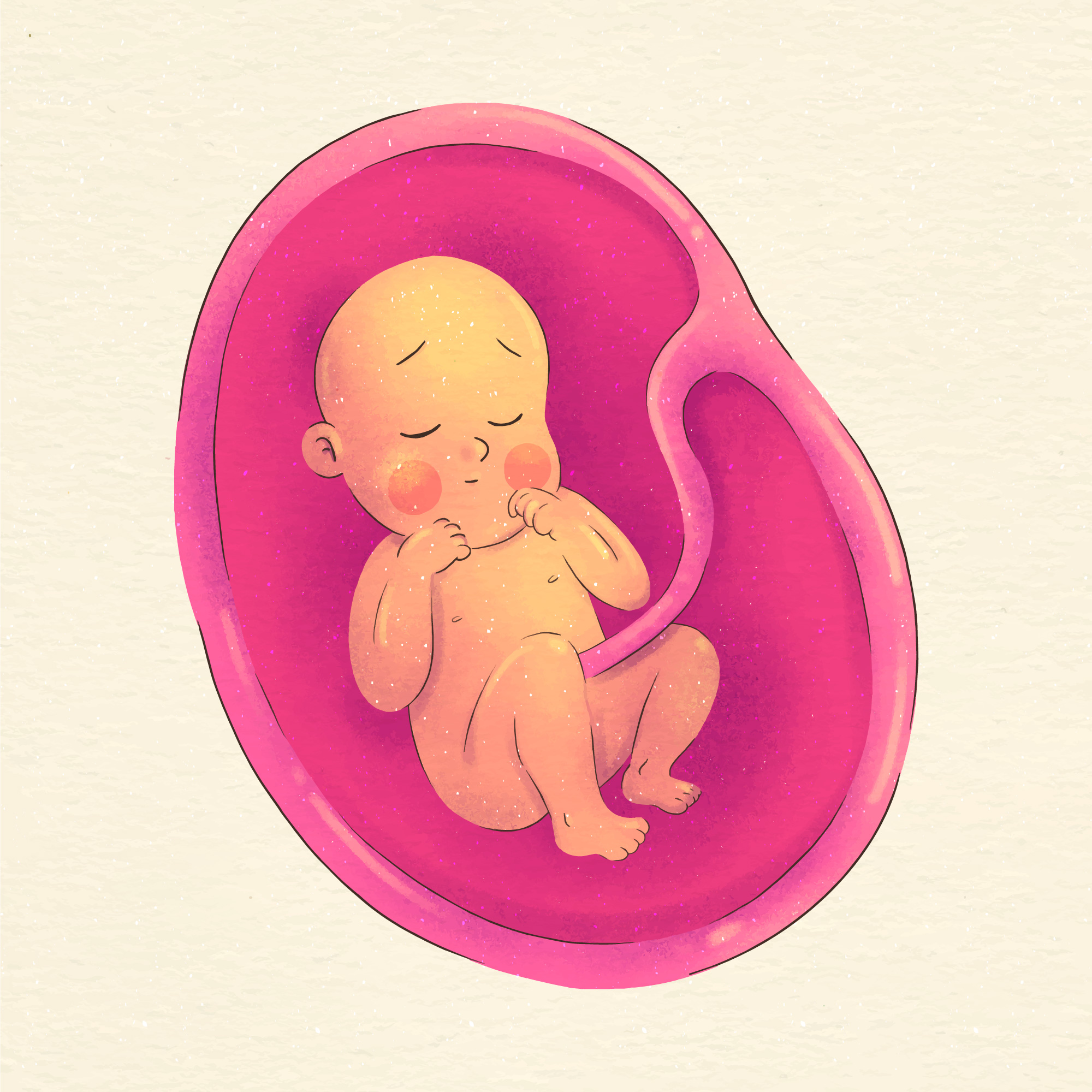 Do Babies Sleep In The Womb